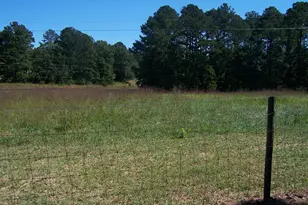 1844 Peeksville Rd, Locust Grove, GA 30248 - Photo 60
