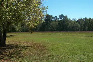 1844 Peeksville Rd, Locust Grove, GA 30248 - Photo 58