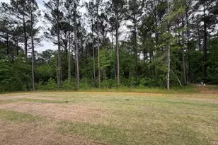 264 Robert Williams Rd, Greenville, GA 30222 - Photo 22