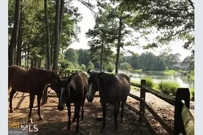 1371 Lipscomb Road, Social Circle, GA 30025 - Photo 62