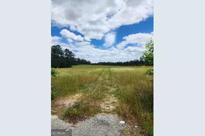 0 Stingray Rd, Mixon Rd, Swainsboro, GA 30401 - Photo 2