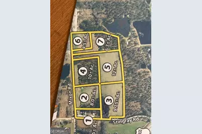 0 Stingray Rd, Mixon Rd, Swainsboro, GA 30401 - Photo 4
