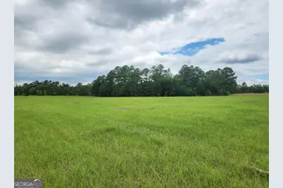 0 Stingray Rd, Mixon Rd, Swainsboro, GA 30401 - Photo 6