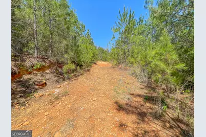 71 +/- Acres On US Hwy 278, Cedartown, GA 30125 - Photo 16