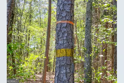 71 +/- Acres On US Hwy 278, Cedartown, GA 30125 - Photo 14