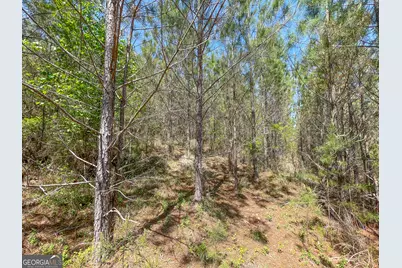71 +/- Acres On US Hwy 278, Cedartown, GA 30125 - Photo 4