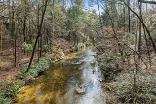 1036 Soque Wilderness Rd, Clarkesville, GA 30523 - Photo 16