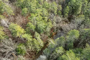 1036 Soque Wilderness Rd, Clarkesville, GA 30523 - Photo 14