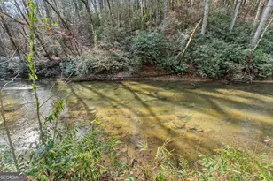 1036 Soque Wilderness Rd, Clarkesville, GA 30523 - Photo 2