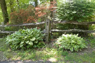 153 Will Zoellner Ln, Mountain City, GA 30525 - Photo 32
