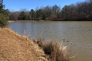 541 Pine Grove Church Rd, Culloden, GA 31016 - Photo 74