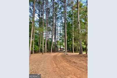 541 Pine Grove Church Road, Culloden, GA 31016 - Photo 24