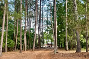 541 Pine Grove Church Rd, Culloden, GA 31016 - Photo 24