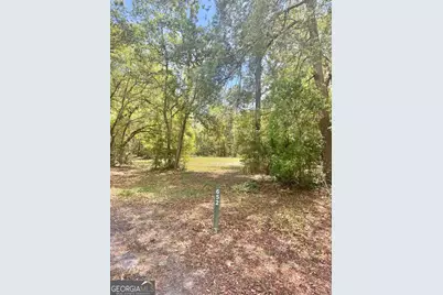 652 Picnic Lane, Townsend, GA 31331 - Photo 2