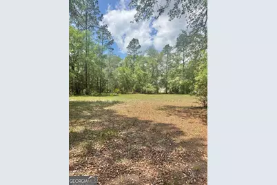 652 Picnic Lane, Townsend, GA 31331 - Photo 4