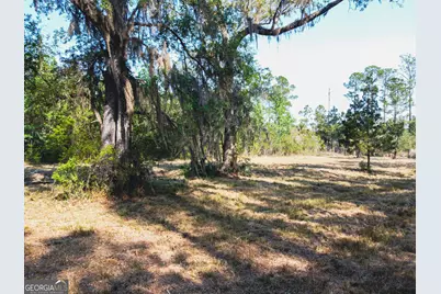 V/L 73 La Sole Lane, Waverly, GA 31565 - Photo 10