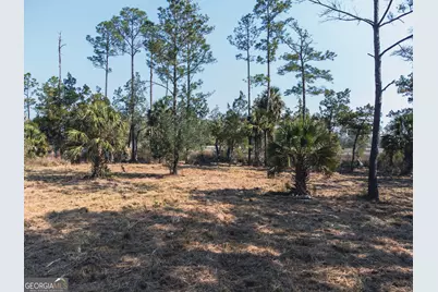 V/L 73 La Sole Lane, Waverly, GA 31565 - Photo 12