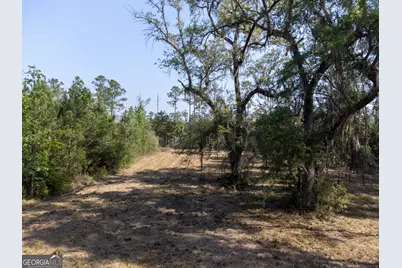 V/L 73 La Sole Lane, Waverly, GA 31565 - Photo 8