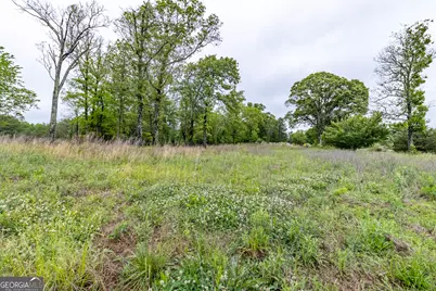 0 Ga 301 Highway #LOT 2, Trenton, GA 30752 - Photo 8