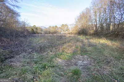 00 Bowman Highway, Dewy Rose, GA 30634 - Photo 12