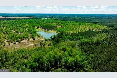 16505 Union Road, Metter, GA 30439 - Photo 2