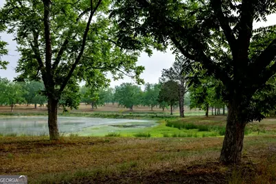 16505 Union Road, Metter, GA 30439 - Photo 6