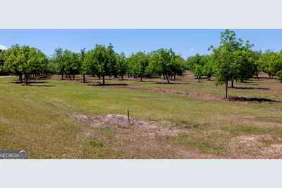 16505 Union Road, Metter, GA 30439 - Photo 4