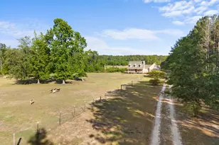 452 Joe Oglesby Rd, Portal, GA 30450 - Photo 44