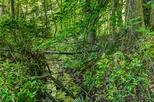 567 Shady Creek Rd, Toccoa, GA 30577 - Photo 64