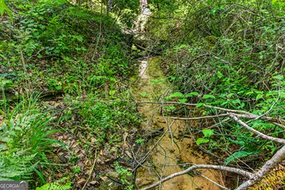 567 Shady Creek Road, Toccoa, GA 30577 - Photo 62
