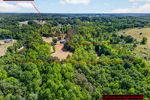 567 Shady Creek Rd, Toccoa, GA 30577 - Photo 68