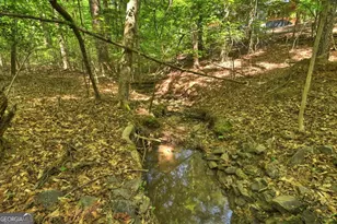 40 Cadet Ct, Ellijay, GA 30540 - Photo 68