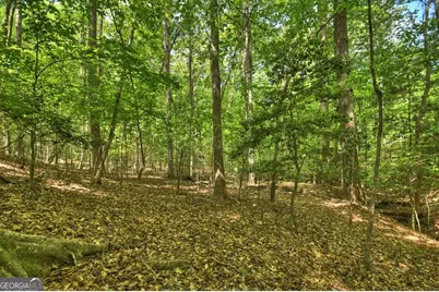 40 Cadet Court, Ellijay, GA 30540 - Photo 70