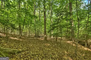 40 Cadet Ct, Ellijay, GA 30540 - Photo 70