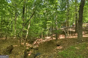 40 Cadet Ct, Ellijay, GA 30540 - Photo 66