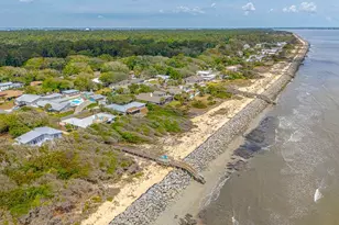 12 Tyler Ln, Jekyll Island, GA 31527 - Photo 58