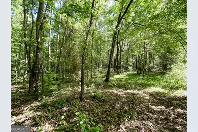 0 Wehunt Road, Monticello, GA 31064 - Photo 12