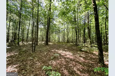 0 Wehunt Road, Monticello, GA 31064 - Photo 8