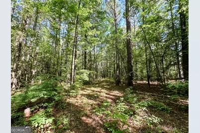 0 Wehunt Road, Monticello, GA 31064 - Photo 4