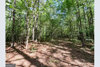 0 Wehunt Road, Monticello, GA 31064 - Photo 10