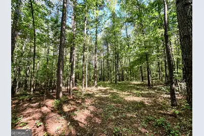 0 Wehunt Road, Monticello, GA 31064 - Photo 6