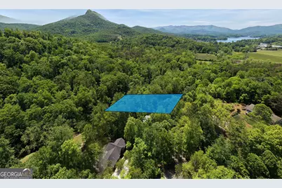 1903 Bell Eagle Drive, Hiawassee, GA 30546 - Photo 64