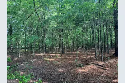 319 E McCarty Street, Sandersville, GA 31082 - Photo 8