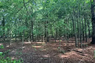 319 E McCarty St, Sandersville, GA 31082 - Photo 8