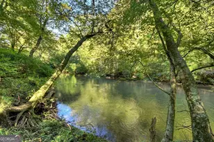 48 Riverwood Trail, Ellijay, GA 30540 - Photo 8