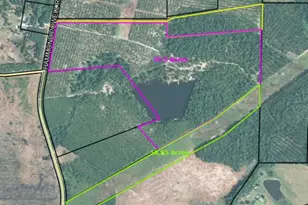 0 Hammond Powell Rd, Hazlehurst, GA 31539 - Photo 1