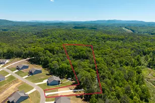 483 Linger Longer Dr, Ellijay, GA 30540 - Photo 84