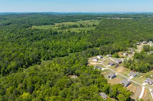 483 Linger Longer Dr, Ellijay, GA 30540 - Photo 82