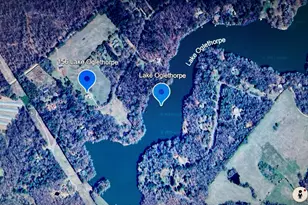 156 Lake Oglethorpe Dr, Arnoldsville, GA 30619 - Photo 66