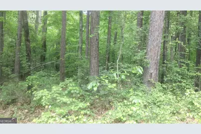 0 Woodduck Court, Monticello, GA 31064 - Photo 6